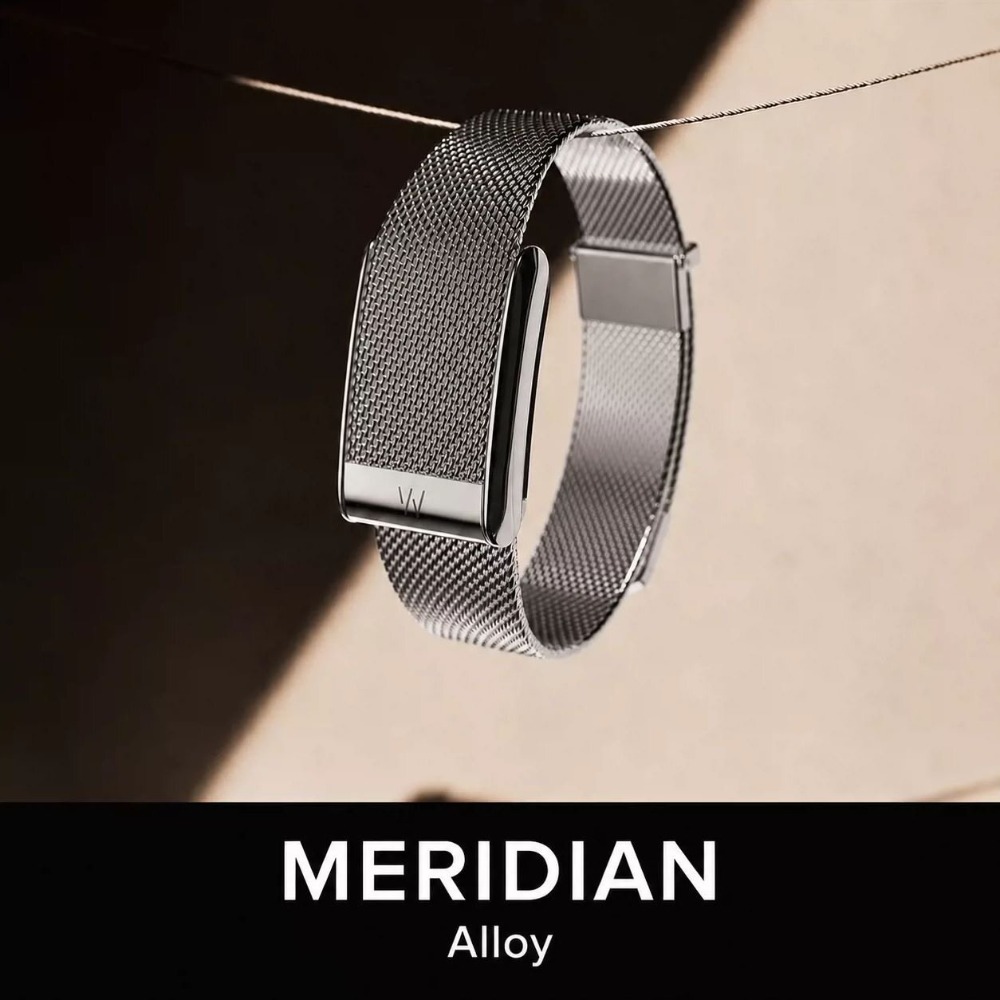 Voor WHOOP 5.0 MG: Milanese ba - Mesh Strap Metal recensie en prijs
